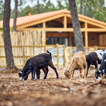 Center Parcs Les Landes De Gascogne 3* Beauziac